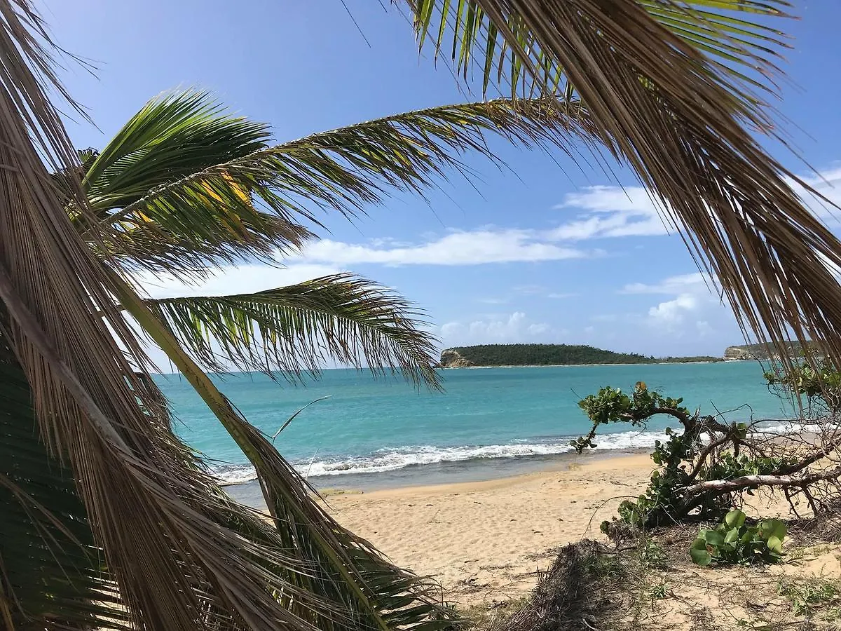 Vieques Good Vibe Guest House 4*,